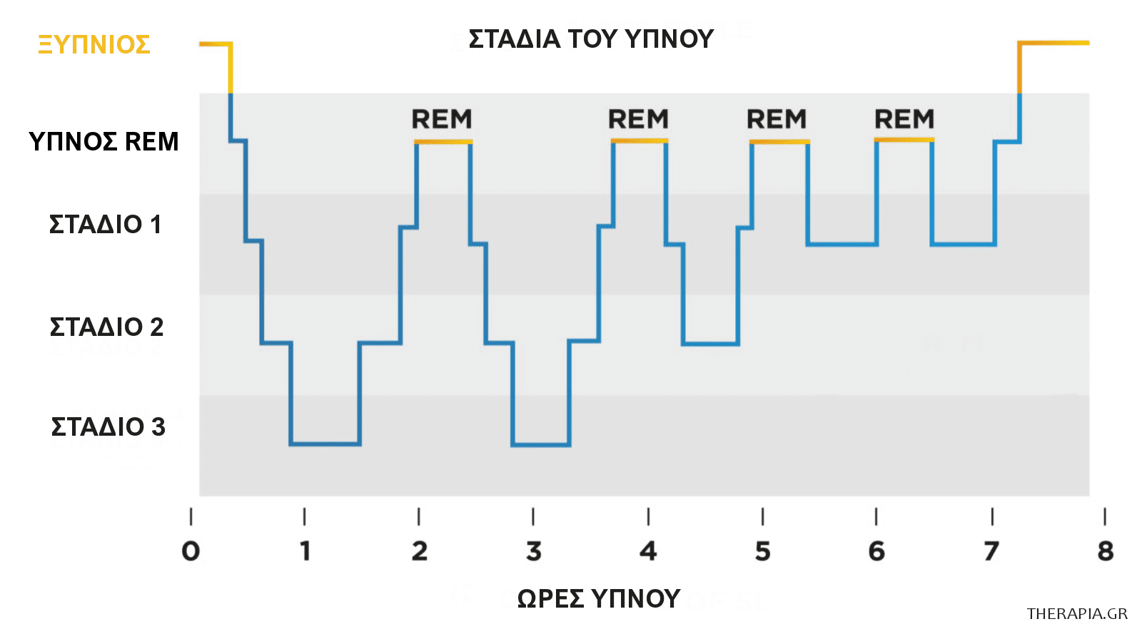 Ύπνος REM, Στάδια ύπνου, ΡΕΜ, Όνειρα, Αρχιτεκτονική του ύπνου, Διάρκεια, Στάδια