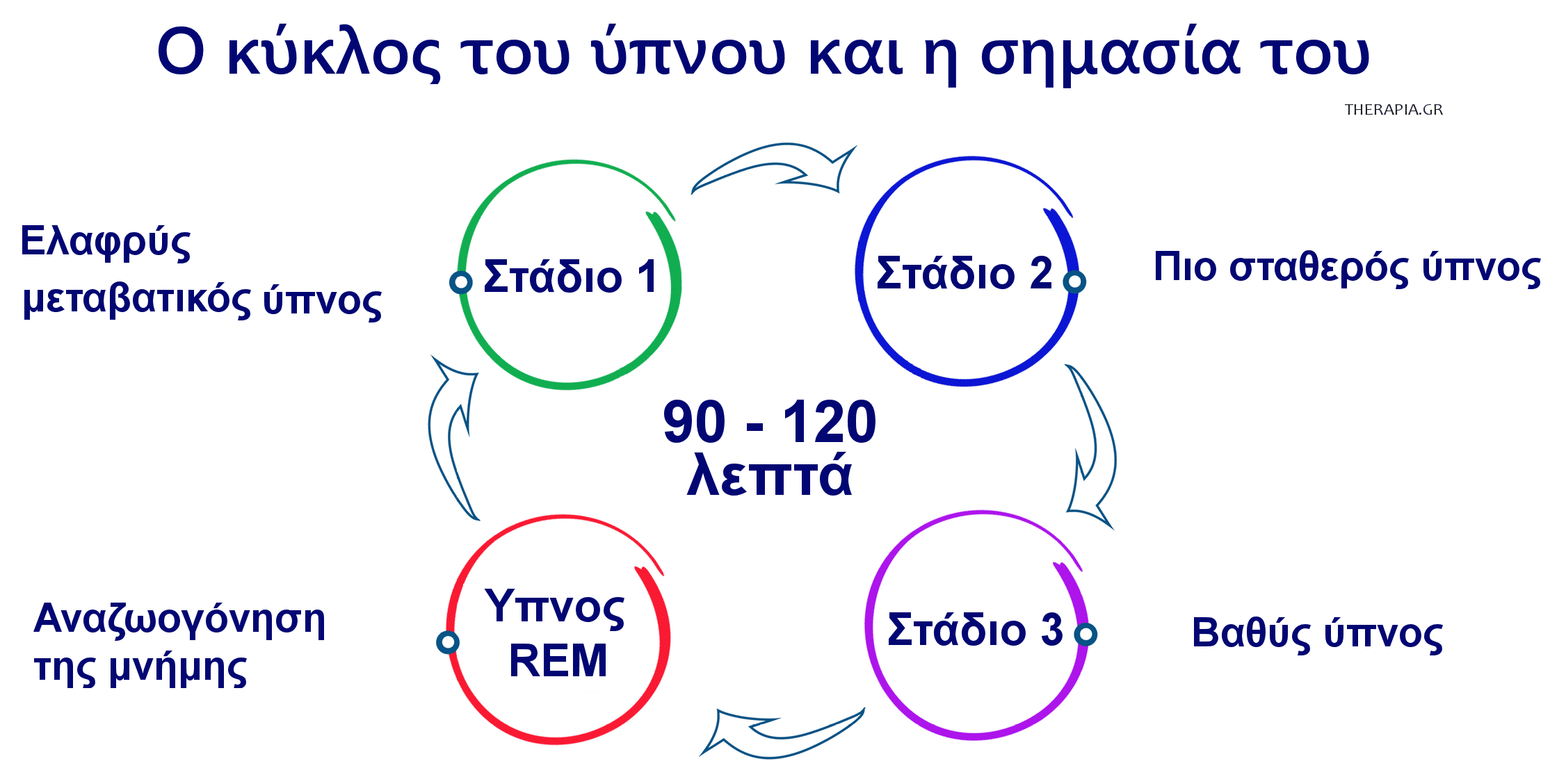 REM ύπνος, Βαθύς ύπνος, Στάδια ύπνου, Κύκλος ύπνου, Σημασία, Λειτουργία, Στάδια