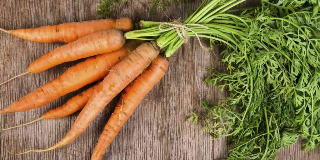 Καρότο: οι ευεργετικές του ιδιότητες - Αριστοτέλης Βάθης MD MSc ECP ...