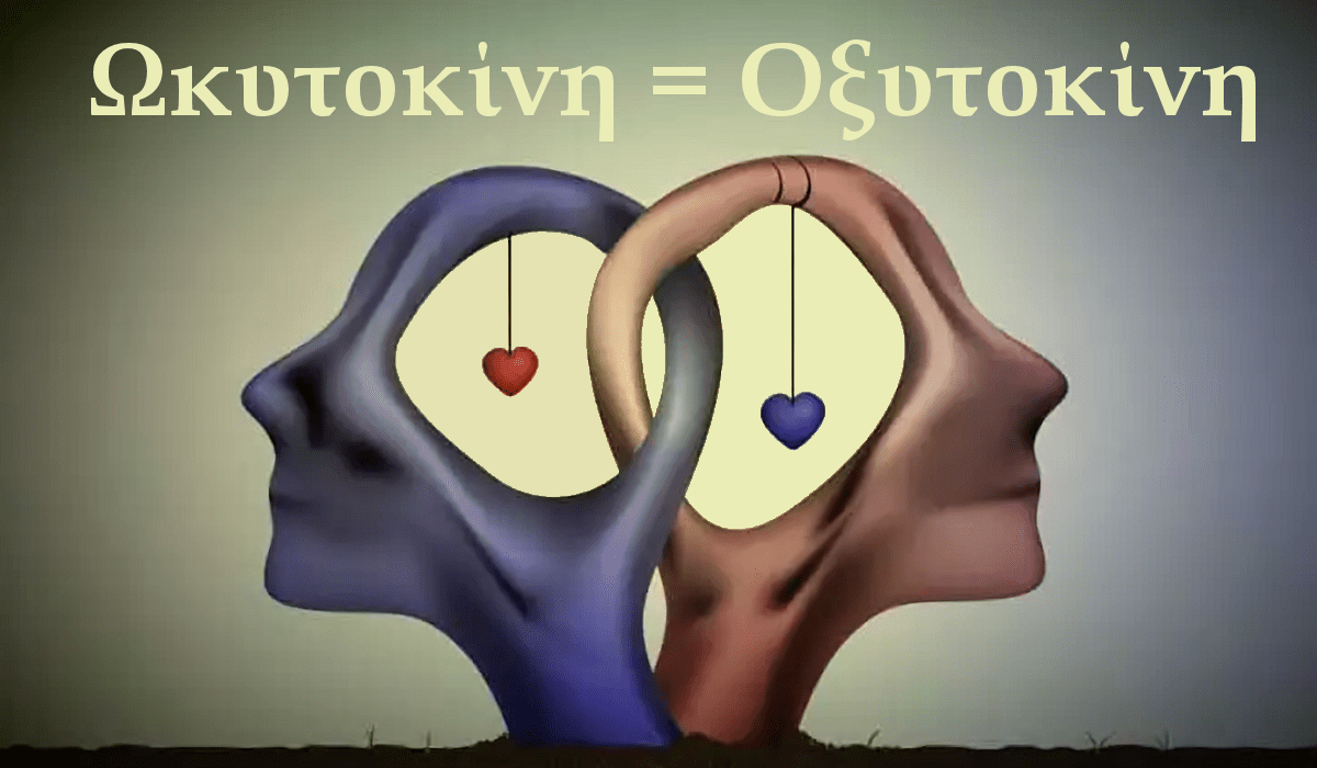 Ωκυτοκινη, Οξυτοκινη, Η ορμονη της αγαπης, Oxytocin