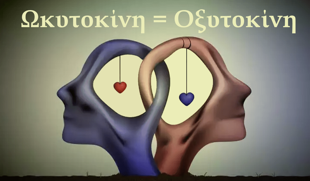 Ωκυτοκίνη, Οξυτοκίνη, Η ορμόνη της αγάπης, Oxytocin, Ωκυτοκίνη πως αυξάνεται