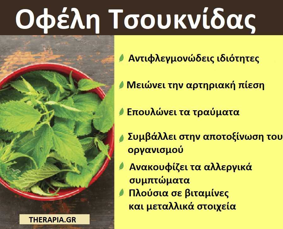 Τσουκνίδα, Ιδιότητες, Παρενέργειες τσουκνίδας