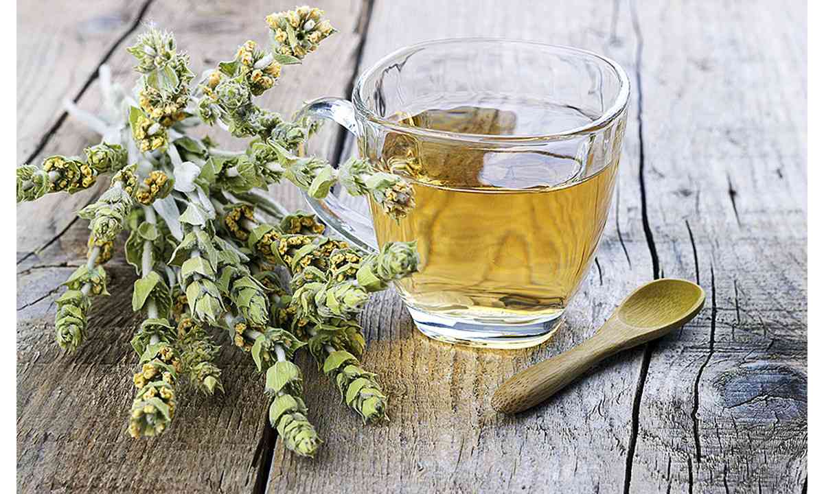 τσάι του βουνού, ιδιότητες τσαγιού του βουνού, οφε΄λη στην υγεία τσαγιού του βουνού