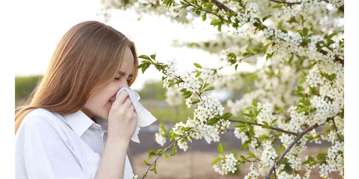 αλλεργία στη γύρη, αλλεργία την άνοιξη, αλλεργική ρινίτιδα, αλλεργίες, συμπτώματα αλλεργίας στη γύρη, αντιμετώπιση αλλεργία στη γύρη