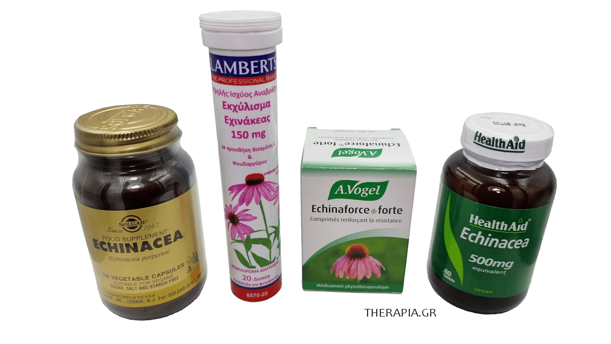 Εχινάκεια, Echinacea, Εχινάτσια, Κρυολόγημα, Γρίπη, Βιταμίνες