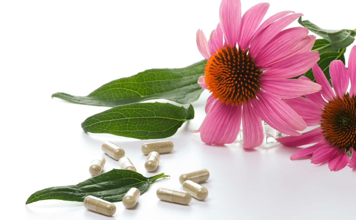 Εχινάκεια, Echinacea, Χάπια, Κάψουλες
