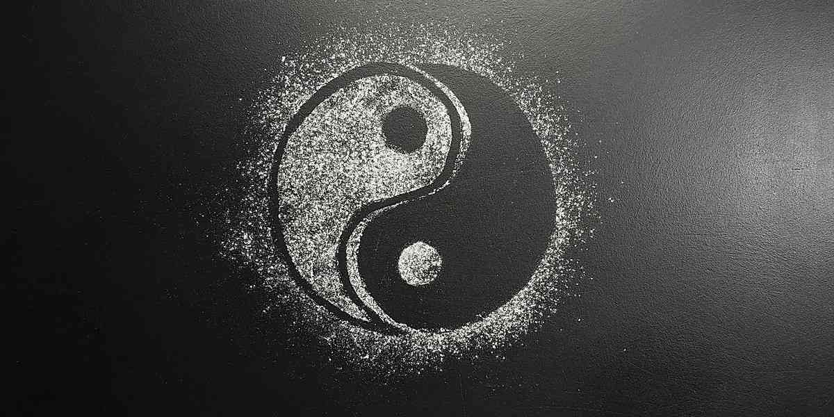 Γιν και Γιανγκ, Yin και Yang, Φιλοσοφία γιν και γιανγκ, Τι συμβολίζει