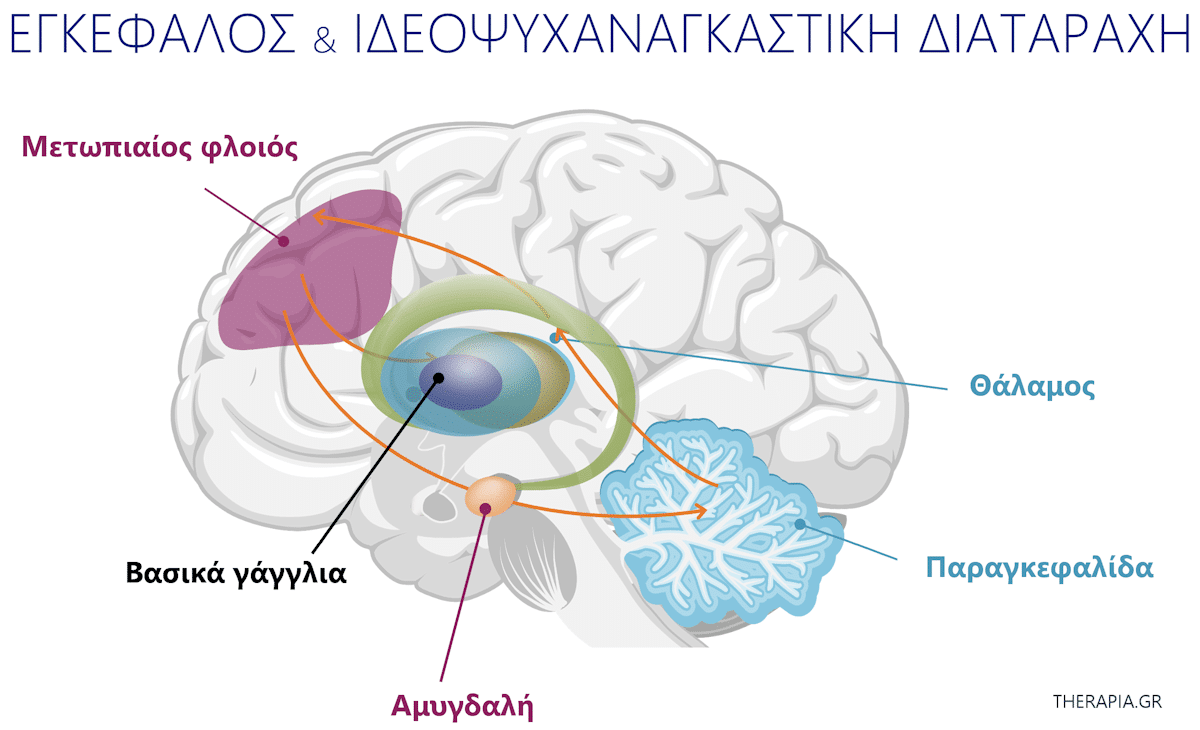 εγκεφαλος αιτια ιδεοψυχαναγκαστικης διαταραχης ocd