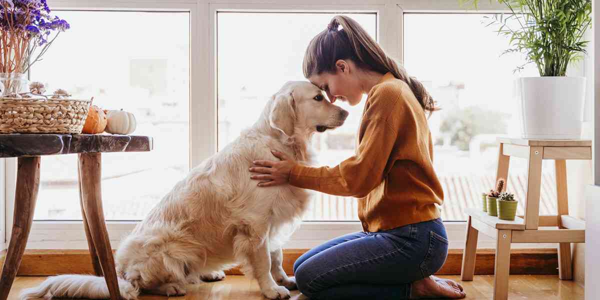 σκυλιά και ψυχική υγεία, ποια είναι τα οφέλη των σκύλων στην ψυχική υγεία, οφέλη κατοικίδιων στην ψυχική υγεία