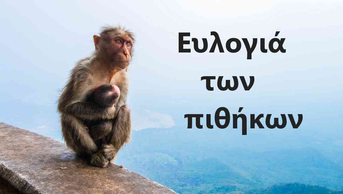 Ευλογιά των πιθήκων, Mpox, Τι είναι, Θεραπεία, Αντιμετώπιση, Κρούσματα, Ελλάδα