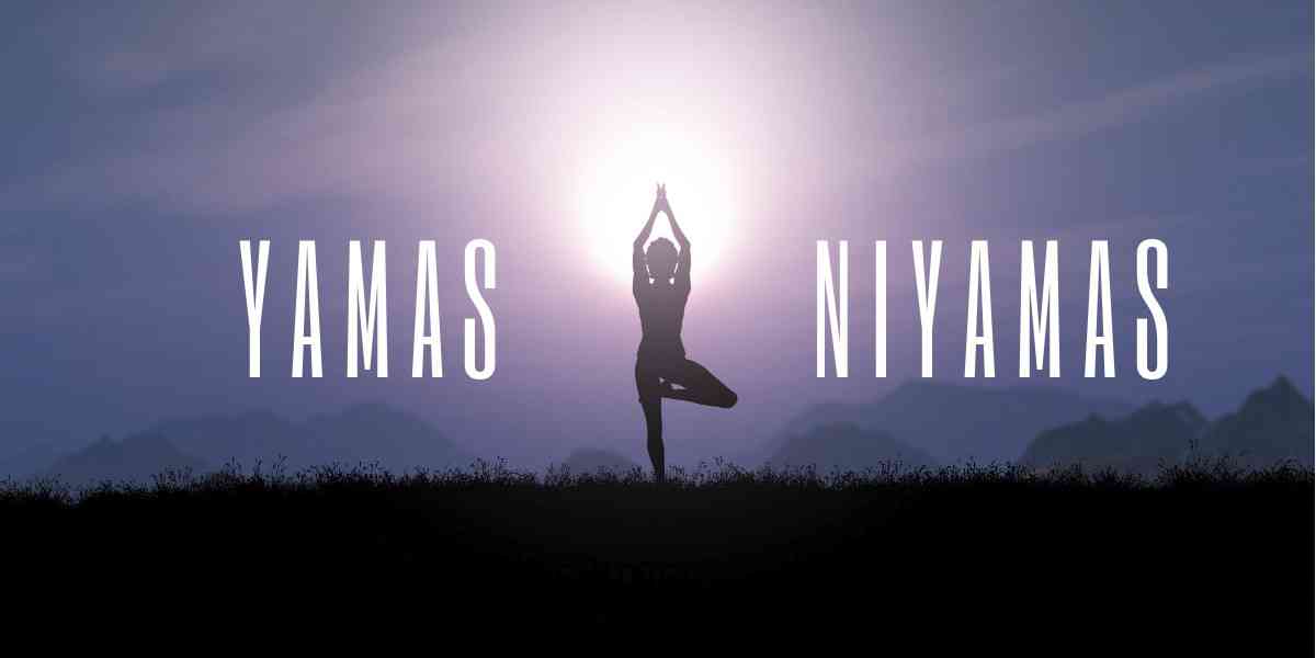 Yamas, Niyamas