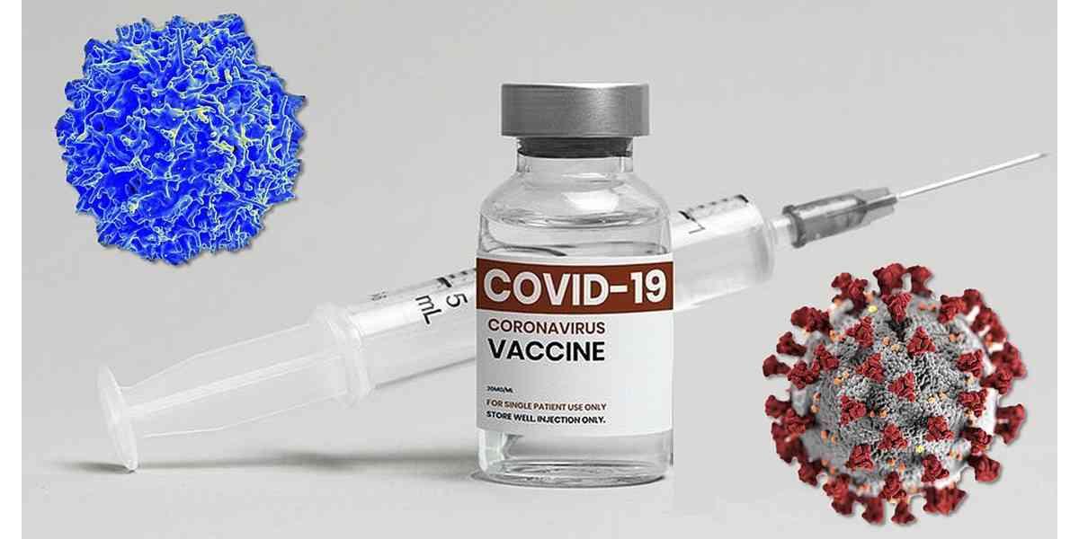 δισθενή εμβόλια, τι είναι τα δισθενή εμβόλια, δισθενή εμβόλια για τον COVID-19, μεταλλάξεις COVID-19, μεταλλάξεις κορωνοϊού , πότε θα πάρουν έγκριση τα δισθενή εμβόλια για τον κορωνοϊό, διπλα εμβολια