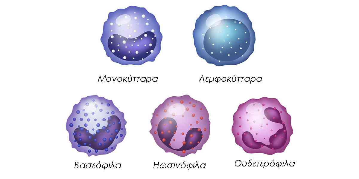 Άγχος και λευκά αιμοσφαίρια