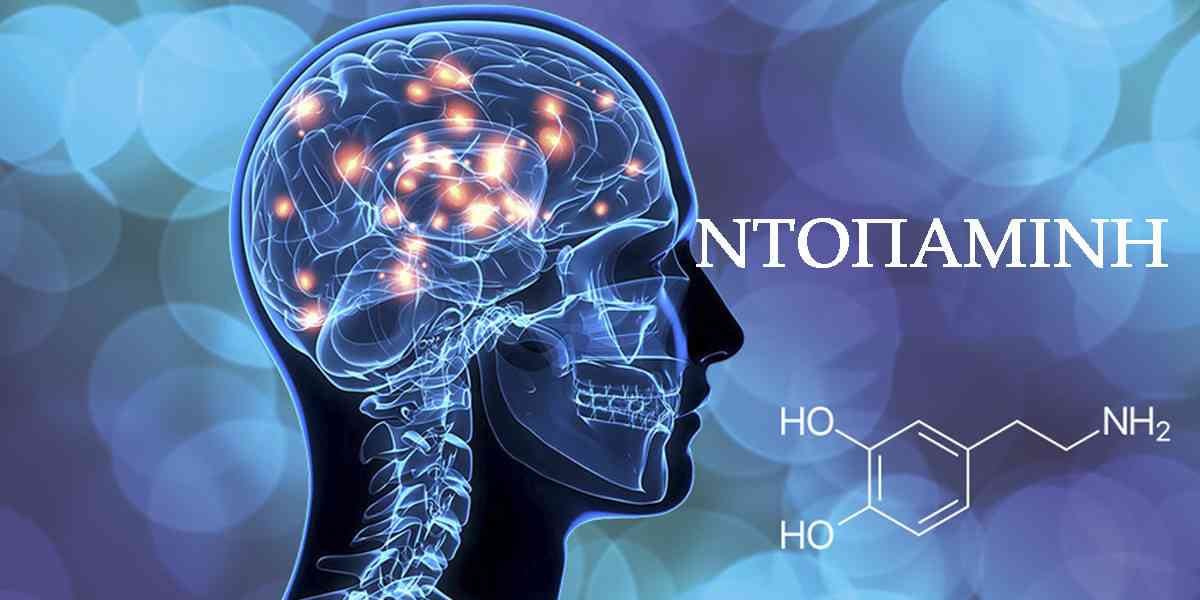 Ντοπαμίνη, Τι είναι η ντοπαμίνη, Αύξηση ντοπαμίνης, Πως να αυξήσετε φυσικά την ντοπαμίνη, Τροφές που αυξάνουν την ντοπαμίνη, Συμπληρώματα διατροφής για την αύξηση της ντοπαμίνης