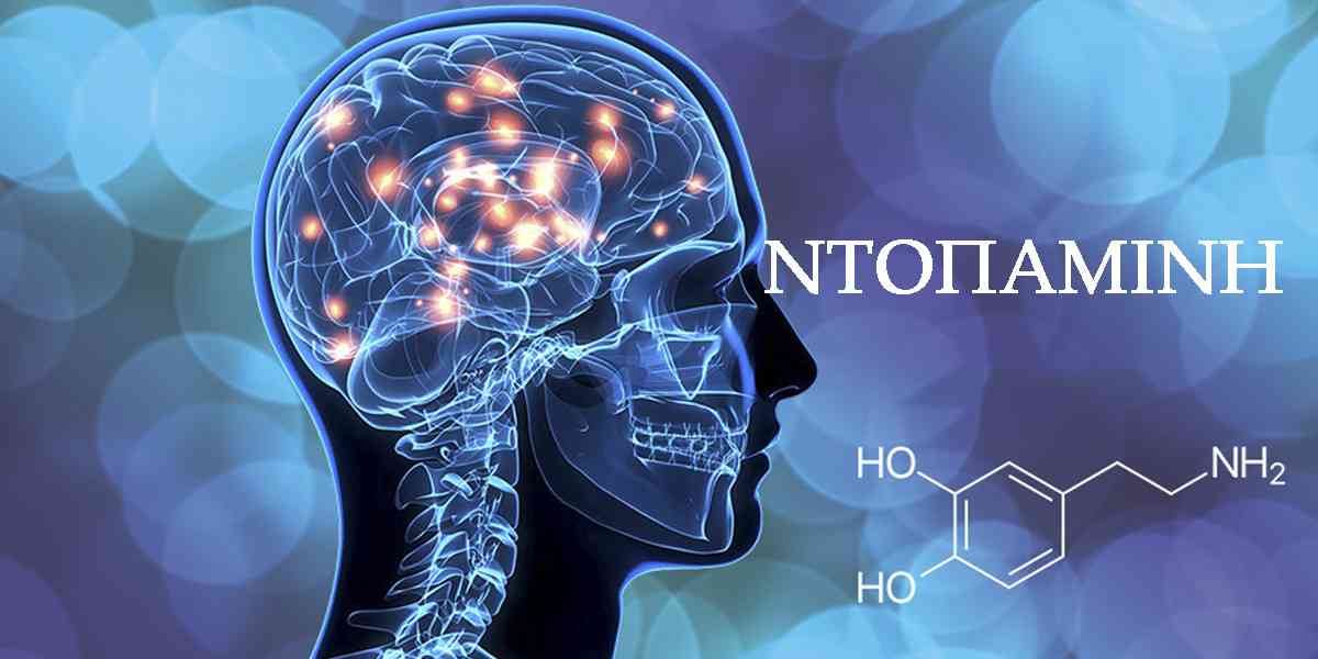 ντοπαμίνη, τι είναι η ντοπαμίνη, λειτουργίες της ντοπαμίνης, πως να αυξήσετε φυσικά την ντοπαμίνη, τροφές που αυξάνουν την ντοπαμίνη, συμπληρώματα διατροφής για την αύξηση της ντοπαμίνης