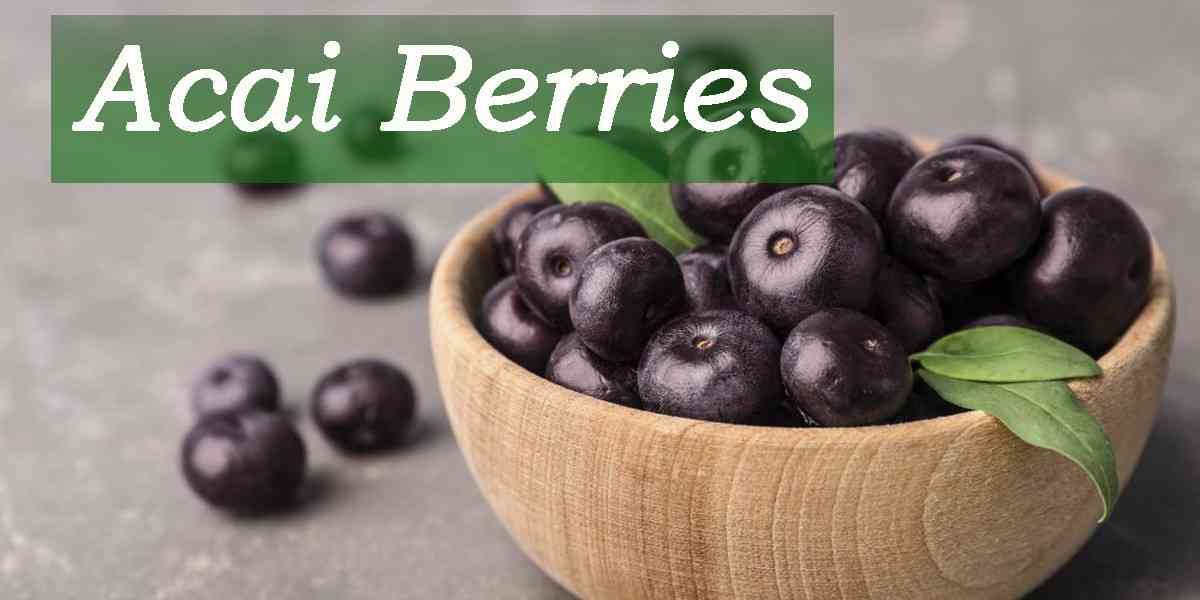 acai berries, τι είναι τα acai berries, διατροφική αξία των acai berries, οφέλη των acai berries στην υγεία , οφέλη των acai berries