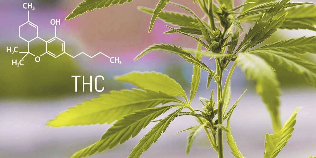 thc, κανναβη παρενεργειες, κανναβη ψυχικες διαταραχες, χασις, συμπεριφορα χρηστη κανναβης, μαριχουανα, χορτο, μαυρο