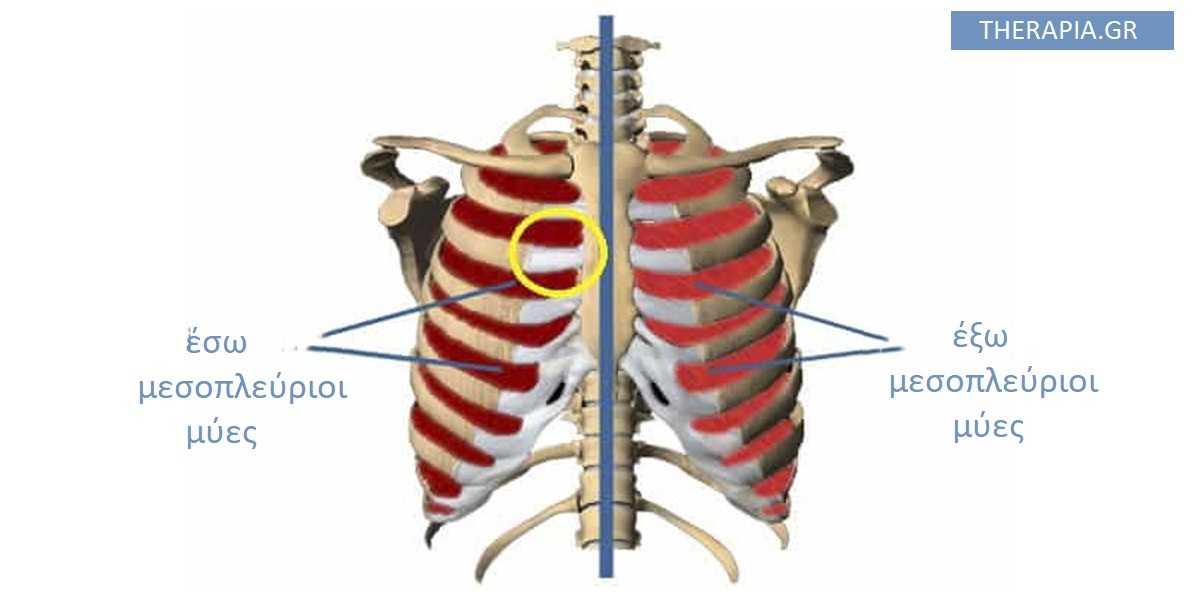 θλαση στα πλευρα