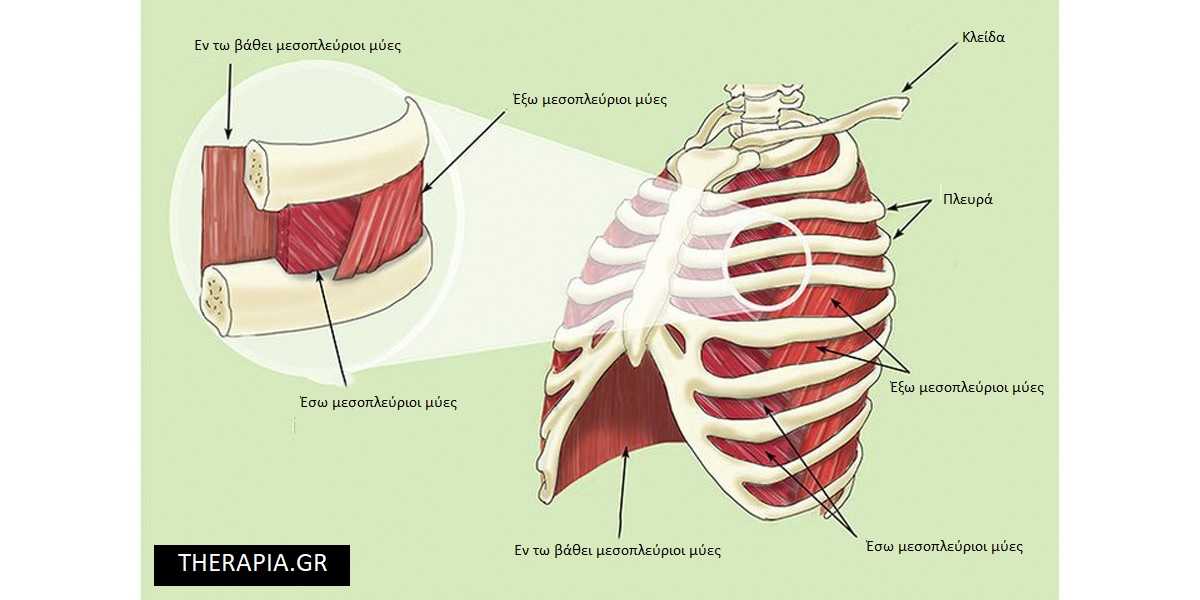 θλαση στα πλευρα