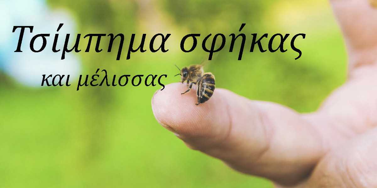 τσίμπημα σφήκας και μέλισσας, συμπτώματα τσιμπήματος σφήκας, αντιμετωπιση, πρωτες βοηθειες