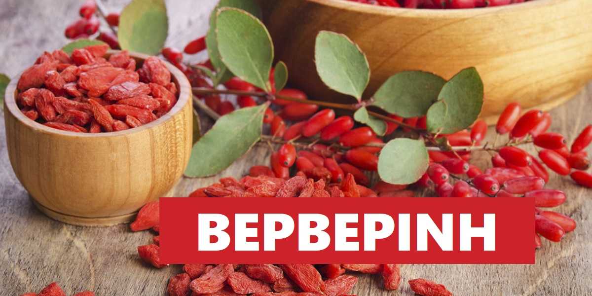 Βερβερίνη, Berberin, Τι είναι η βερβερίνη, Παρενέργειες, Αδυνάτισμα, Απώλεια βαρους, Φυσικό Οζεμπικ, Φυτικό Οζεμπικ, Ozempic