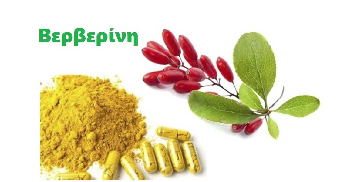 Βερβερίνη, Berberin, Τι είναι η βερβερίνη, Αδυνάτισμα, Απώλεια βαρους, Παρενέργειες, Φυσικό Οζεμπικ, Φυτικό Οζεμπικ, Ozempic, Καρκίνος
