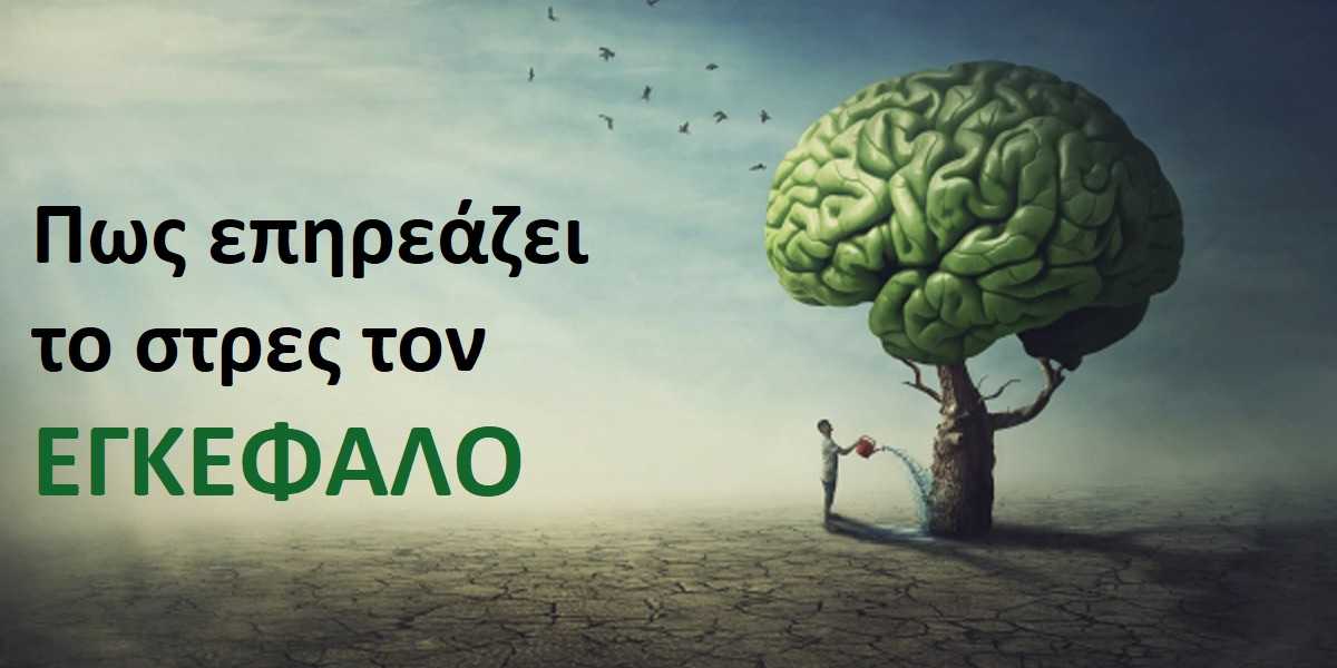 Πως επηρεάζει το στρες τον εγκέφαλο, Κορτιζόλη και στρες, Επιδράσεις κορτιζόλης στον εγκέφαλο, Νευροδιαβιβαστές και κορτιζόλη, Ιππόκαμπος και κορτιζόλη, Αμυδγαλή και κορτιζόλη, Άγχος, επιδράσεις στρες στα συναισθήματα, Επιδράσεις στρες στη μνήμη, Αντιμετώπιση στρες