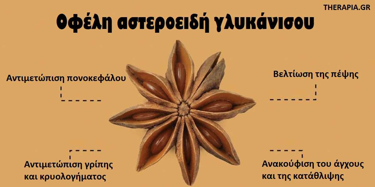 Γλυκάνισος, Αστεροειδής γλυκάνισος, Ιδιότητες γλυκάνισου
