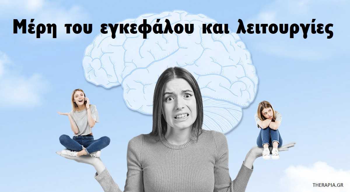 Μέρη του εγκεφάλου και λειτουργίες, Δομές, Περιοχές του εγκεφάλου ελέγχουν τα συναισθήματα, ποιες δομές του εγκεφάλου ελέγχουν το φόβο, Λειτουργίες αμυγδαλής, Λειτουργίες ιππόκαμπου, Μεταιχμιακό σύστημα