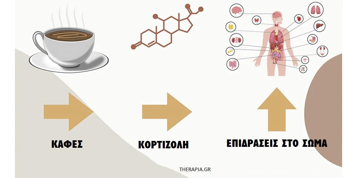 Καφές, Κορτιζόλη, Κορτιζόνη, αύξηση