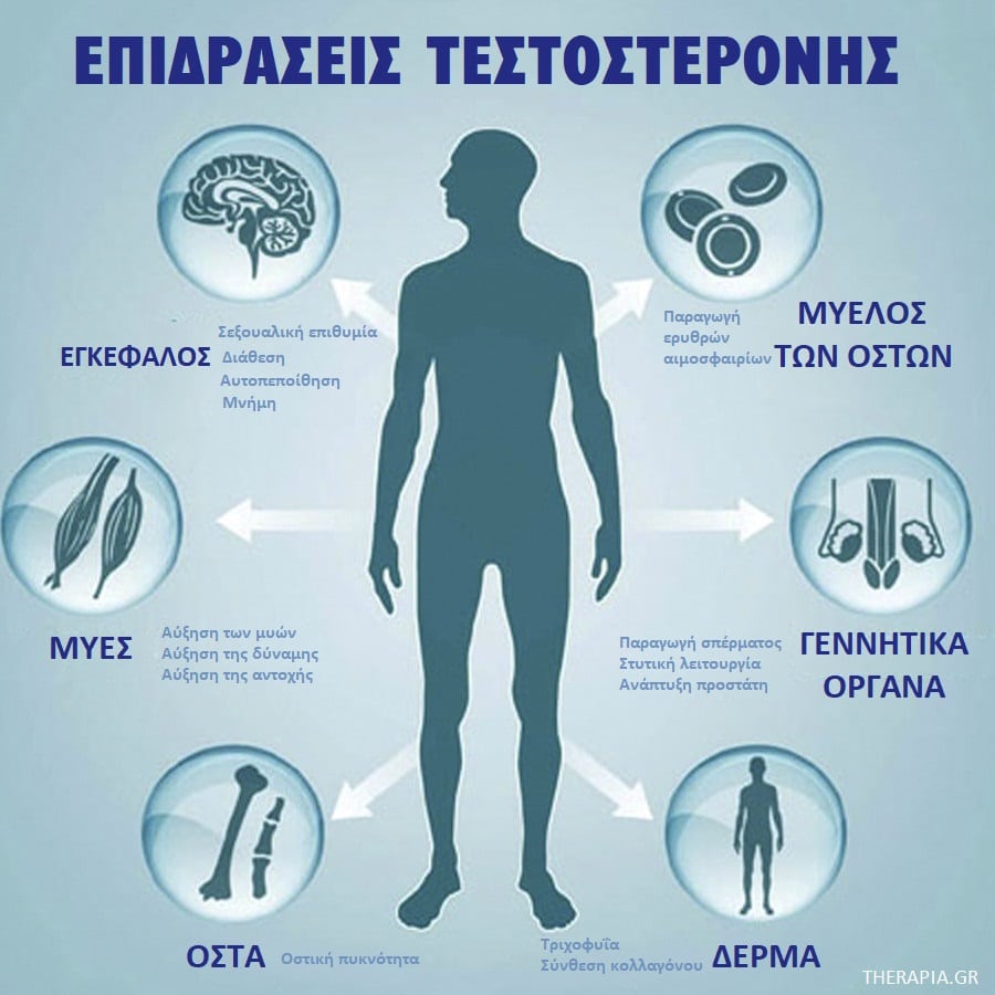 Πως επηρεάζει η τεστοστερόνη τους άνδρες, Υψηλή τεστοστερόνη