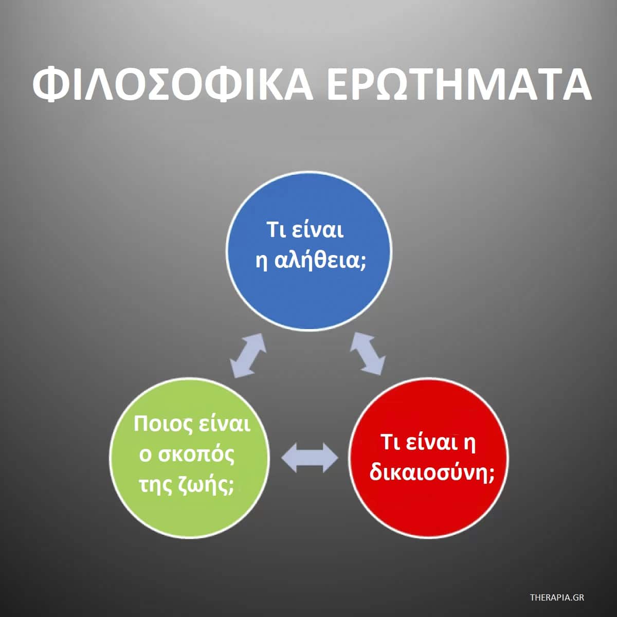 Φιλοσοφικά ερωτήματα, Φιλοσοφικές αρχές, Φιλοσοφικές θεωρίες
