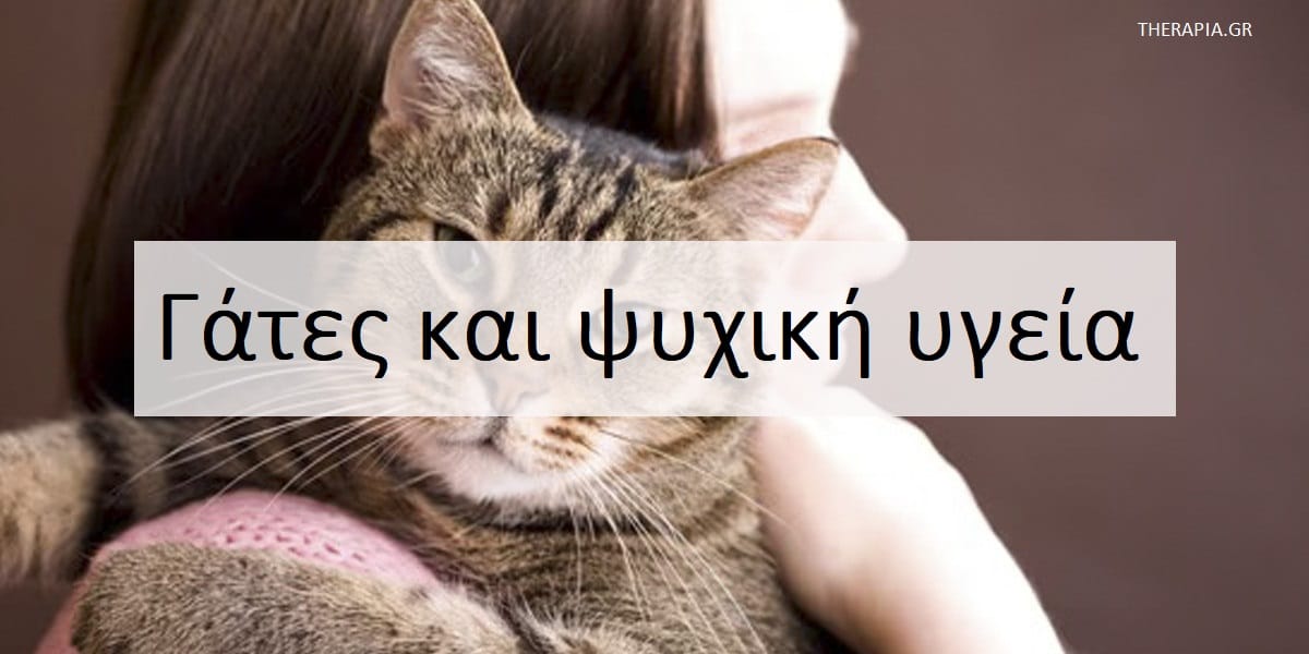 Γάτες και ψυχική υγεία, Ποια είναι τα οφέλη από τις γάτες στην ψυχική υγεία, Ψυχολογικά οφέλη από ττις γάτες