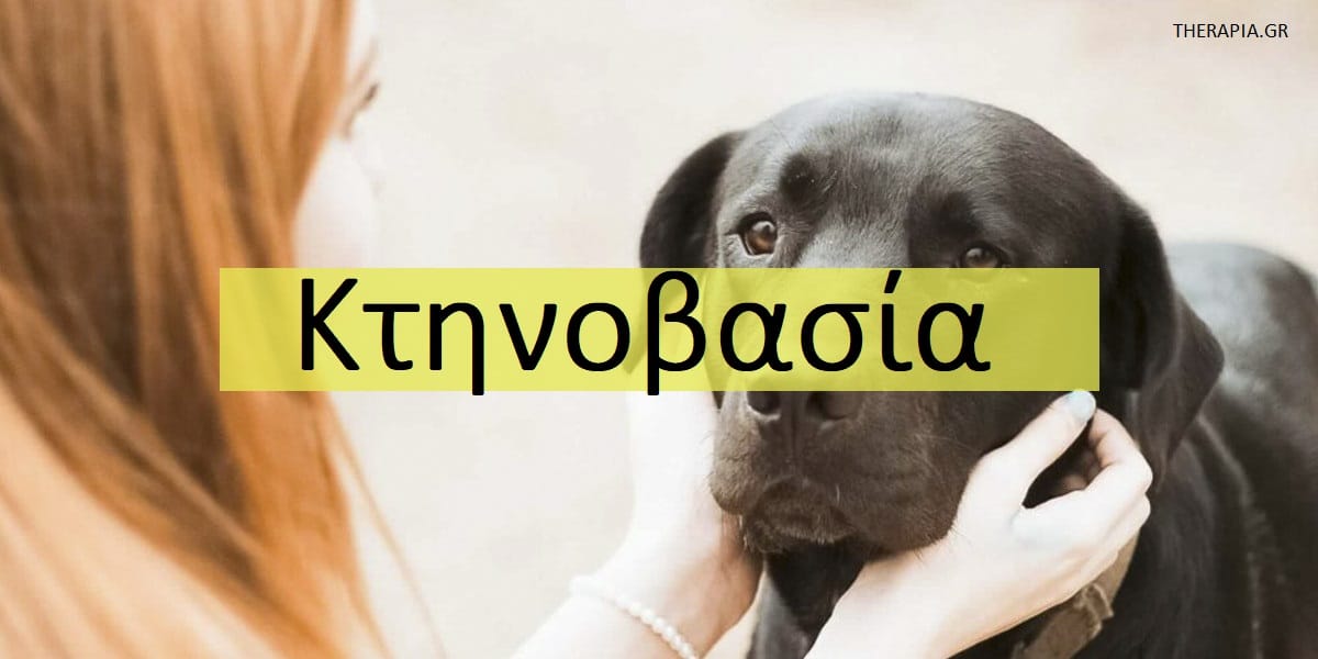 Κτηνοβασία, Ζωοφιλία, Αιτίες ζωοφιλίας, συμπτώματα ζωοφιλίας, Επιδράσεις ζωοφιλίας, Θεραπεία ζωοφιλίας