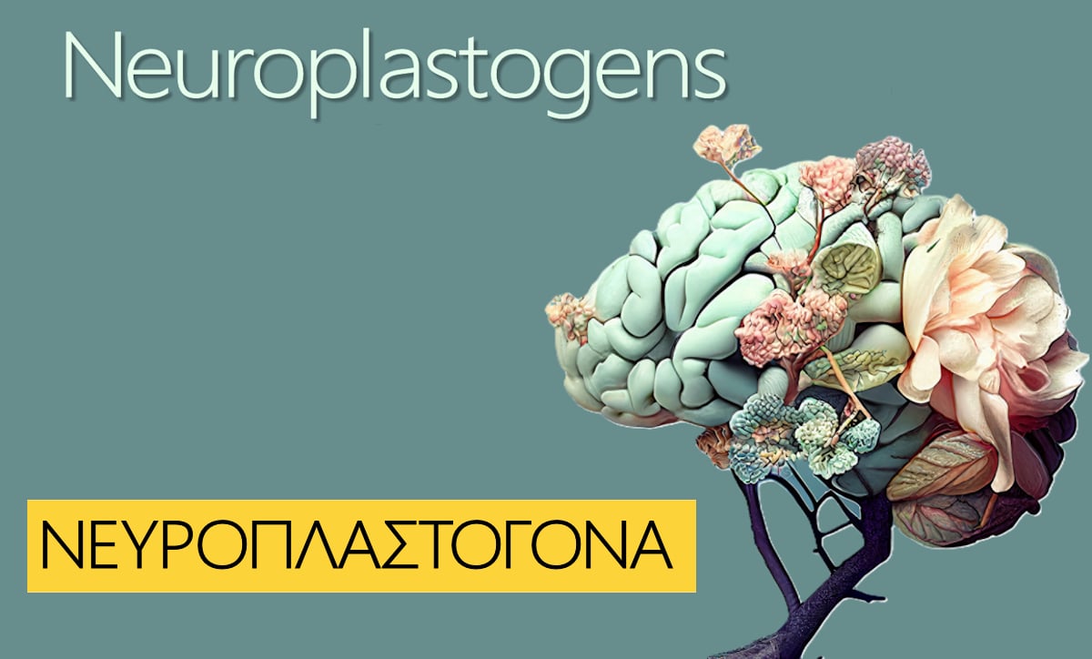 Neuroplastogens, Νευροπλαστογόνα, Νευροπλαστικότητα, Εγκέφαλος