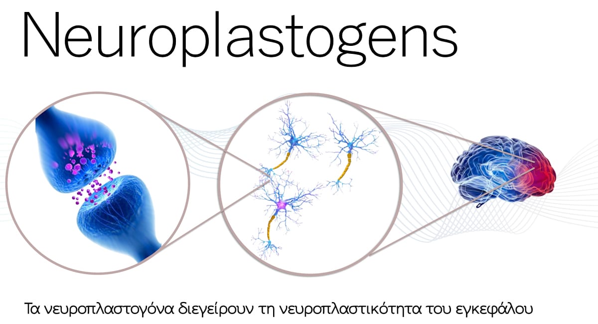 Neuroplastogens, Νευροπλαστογόνα, Νευροπλαστικότητα, Εγκέφαλος