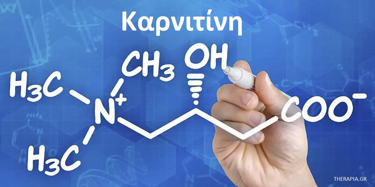 Καρνιτίνη, Λειτουργίες καρνιτίνης, Δράση καρνιτίνης, Οφέλη καρνιτίνης, Αλληλεπιδράσεις καρνιτίνης με άλλα φάρμακα