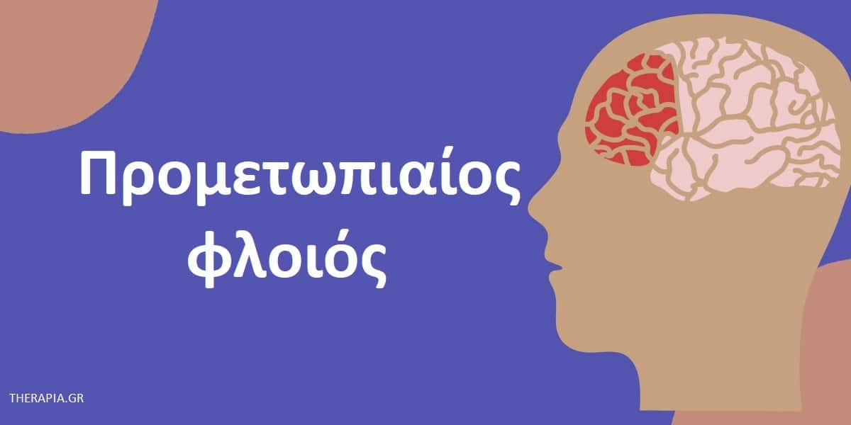 Προμετωπιαίος φλοιός, Ανατομία προμετωπιαίου φλοιού, Τμήματα προμεταωπιαίου φλοιού, Λειτουργίες προμετωπιαίου φλοιού, Ρόλοι προμετωπιαίου φλοιού