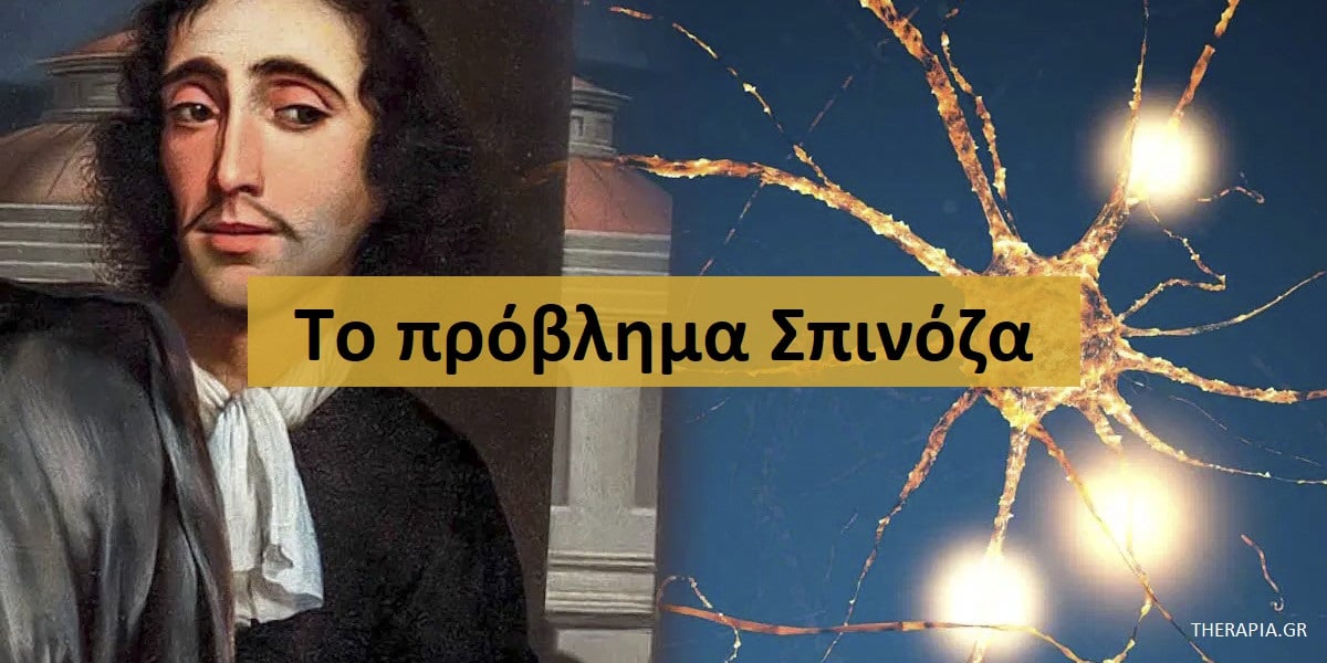 Το πρόβλημα Σπινόζα, Φιλοσοφία Σπινόζα, Ιστορία Σπινόζα
