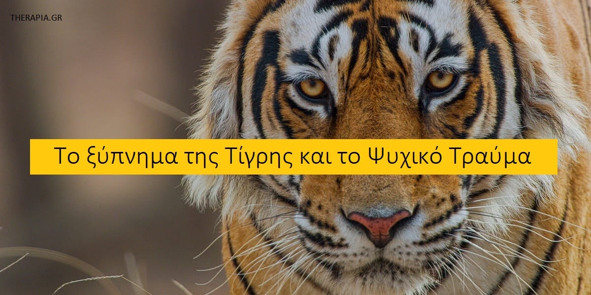 Το ξύπνημα της τίγρης και το ψυχικό τραύμα, Το ξύπνημα της τίγρης, Ψυχικό τραύμα, Πως τα ψυχικά τραύματα επηρεάζουν τον εγκέφαλο, Somatic Experiencing, Τι είναι το Somatic Experiencing, Ποια είναι τα οφέλη του Somatic Experiencing