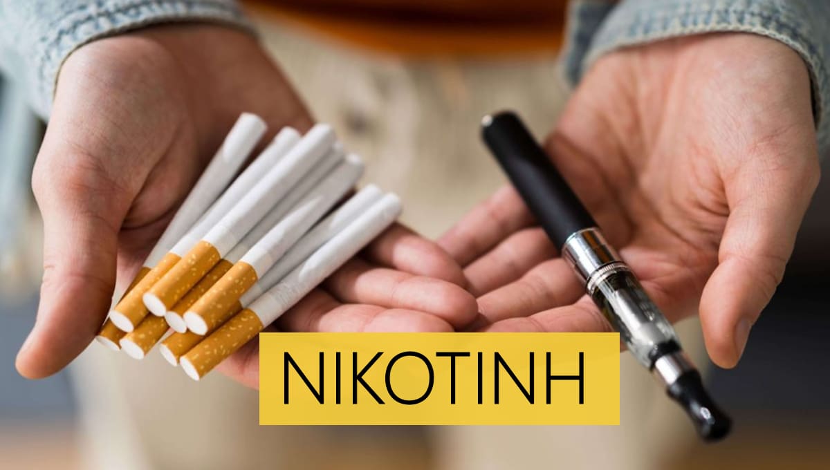 Νικοτίνη, Εθισμός, Διακοπή καπνίσματος
