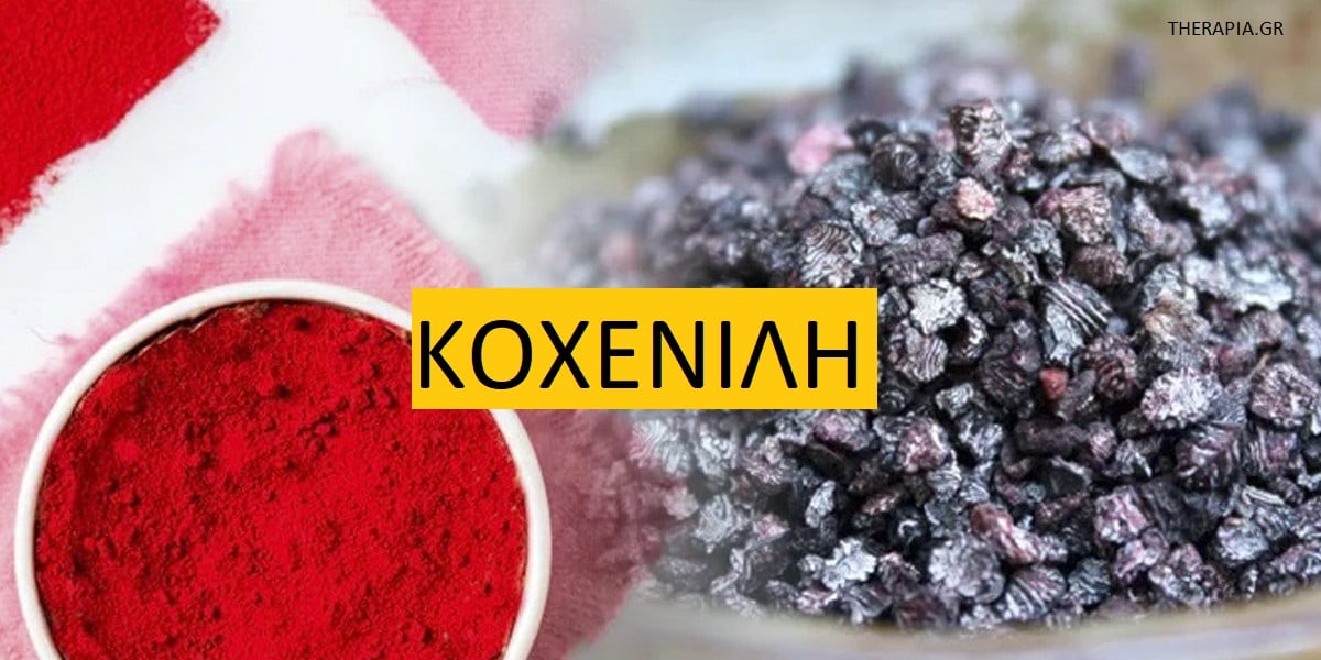 Κοχενίλη, Τι είναι η κοχενίλη, Ποιες τροφές περιέχουν κοχενίλη, Που χρησιμοποιείται η κοχενίλη, Προϊόντα που περιέχουν κοχενίλη, Τρόφιμα που περιέχουν κοχενίλη