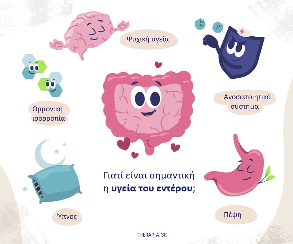 Υγεία του εντέρου, Μικροβίωμα του εντέρου, Λειτουργίες του εντέρου