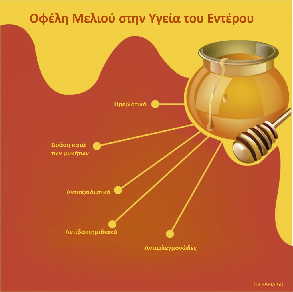 Μέλι και ευερέθιστο έντερο, Οφέλη μελιού στο έντερο, Ευερέθιστο έντερο 