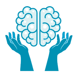 Ψυχικές διαταραχές, Παθήσεις, Οδηγός