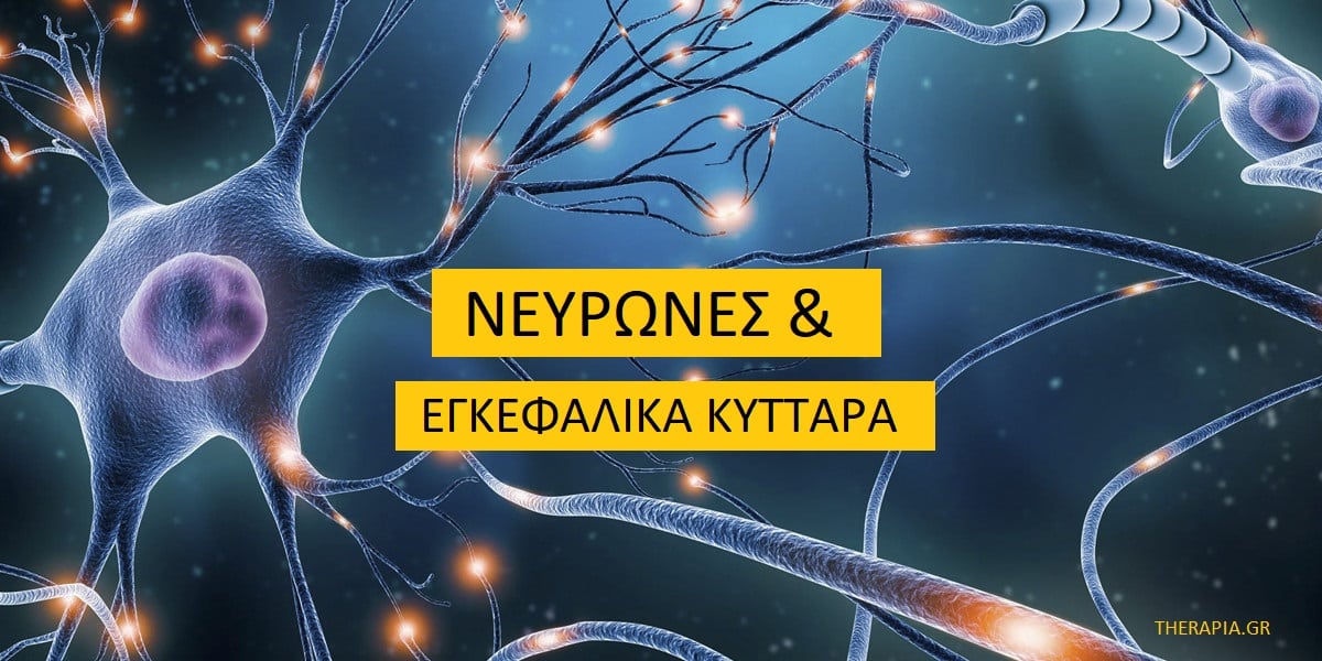 Νευρώνες και εγκεφαλικά κύτταρα, Δομή νευρώνων, Λειτουργία νευρώνων, Τύποι νευρώνων, Πως οι νευρώνες μεταφέρουν ένα μήνυμα, Μυελίνης, Χημικές συνάψεις, Ηλεκτρικές συνάψεις, Συνάψεις