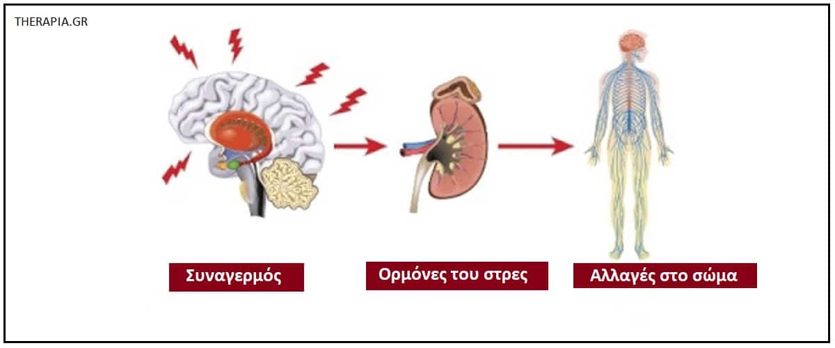 Που χτυπάει το στρες, Στρες, Επιδράσεις στρες
