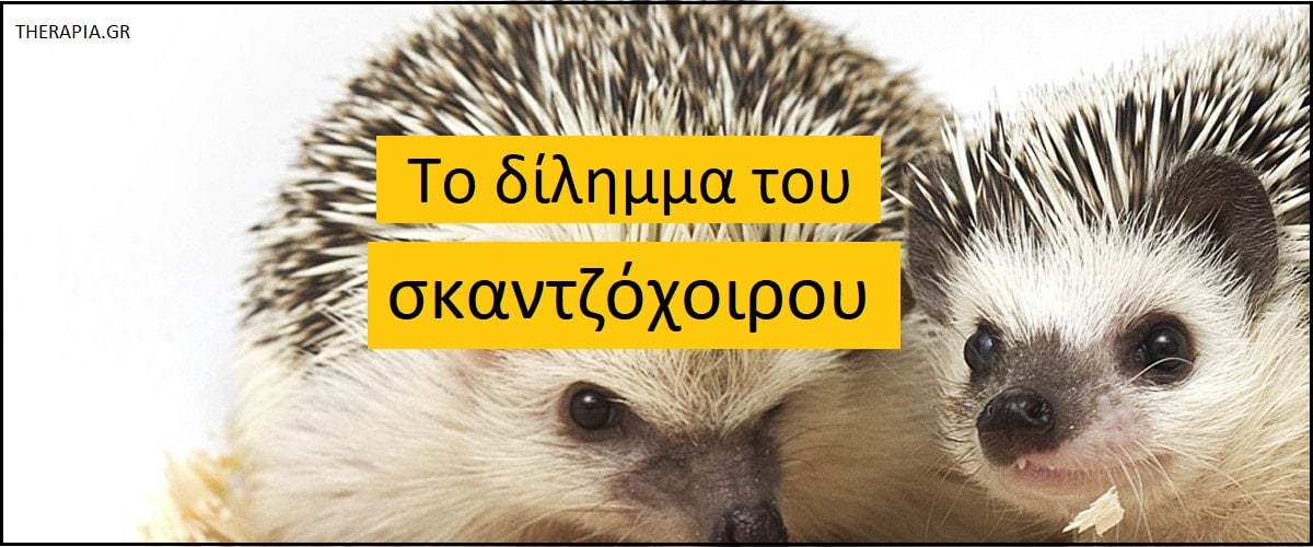 Το δίλημμα του σκαντζόχοιρου, Ψυχολογική προσέγγιση του διλήμματος του σκαντζόχοιρου, Τι είναι το διλημμα του σκαντζόχοιρου, Προσκόλληση, Αγχώδης προσκόλληση, Αντιμετώπιση διλήμματος σκαντζόχοιρου, Στρατηγικές για υγιή σύνδεση, Διλημμα του σκαντζόχοιρου και οικειότητα