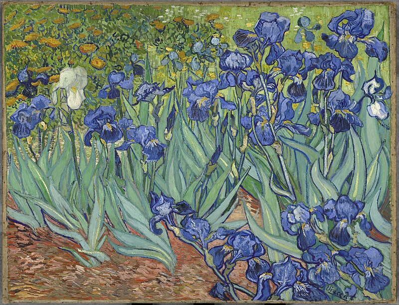 Βίνσεντ Βαν Γκογκ , Ίριδες Βίνσεντ Βαν Γκογκ ,Έργα τέχνης από Βίνσεντ Βαν Γκογκ