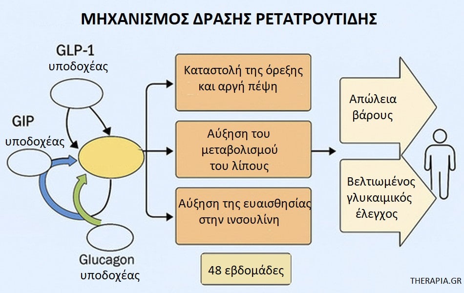 Ρετατρουτίδη, Παχυσαρκία, Αδυνάτισμα